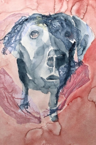 Kiwi. 40x50 cm.