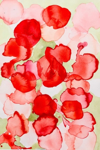 Valmuer fra oven. 30x40 cm. 2000kr.