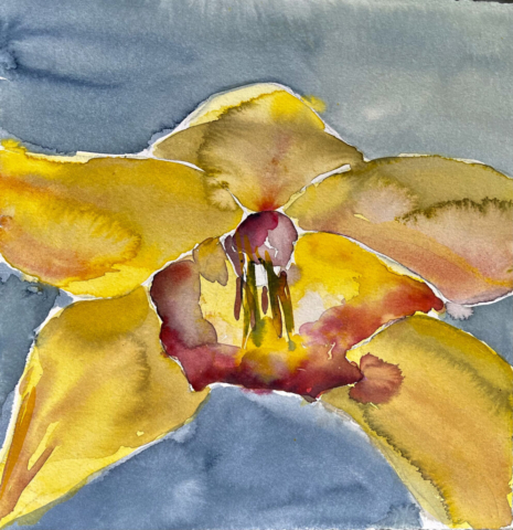 Orkide. 40x40 cm. 2000kr.