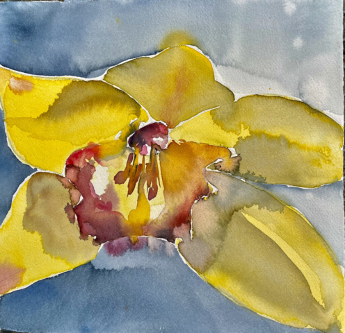 Orkide. 40x40 cm. 2000kr.