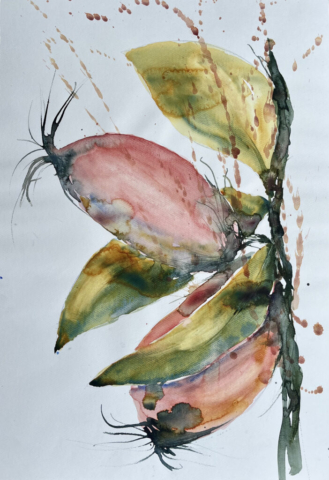 Hybengren. 50x70 cm. 3000 kr